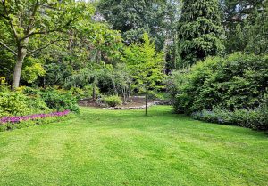 Optimiser l'expérience du jardin à Juvigny-sur-Seulles